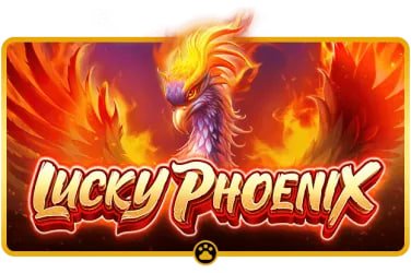 Filipino player placing a sports bet on fb77 mobile app